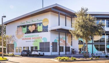 Jacksonville Humane Society to host free pet vaccine and microchip clinic