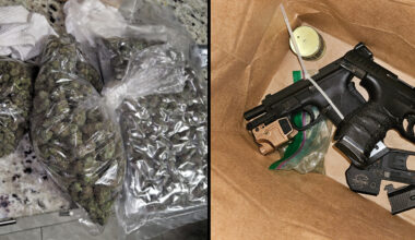 Hillsborough deputies seize firearms and 3 pounds of marijuana: FDC