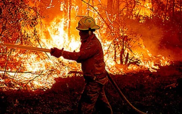 Firefighter Mike Pultorak of the Seffner Mango Fire Department in Hillsborough County battles a wildfire on U.S. 92 in Volusia County between Daytona Beach and De Land on Thursday, June 25, 1998. AP FILE