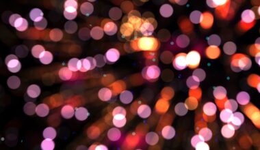 The Loveliest Local Events to Attend This Valentine’s Weekend