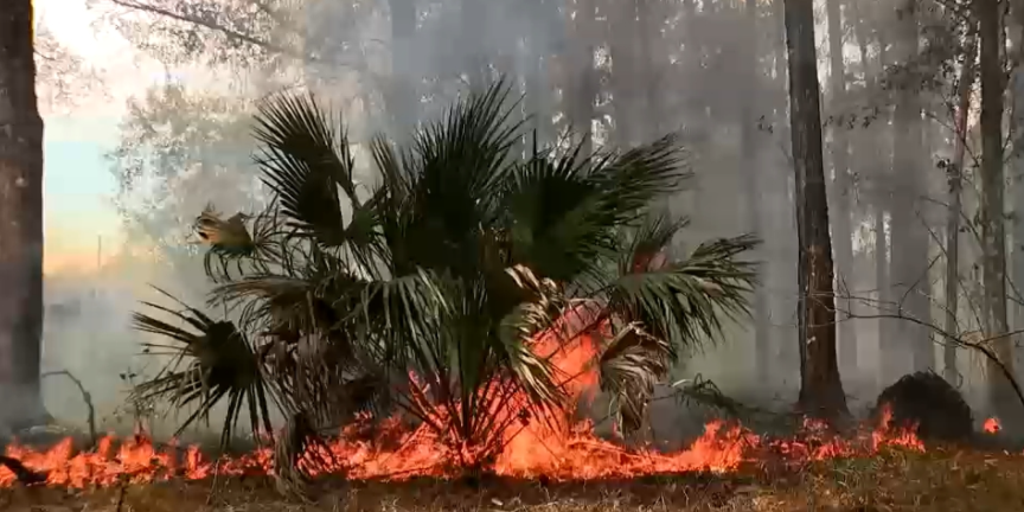 Florida fire danger spikes as 'Extreme Drought' reaches 25-year high