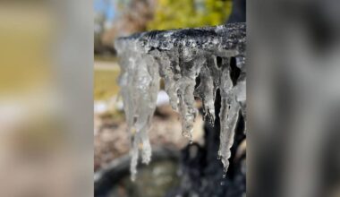 A blast of Arctic temperatures is leaving its impact on Tampa Bay. (Photo Courtesy: Michelle Montella)