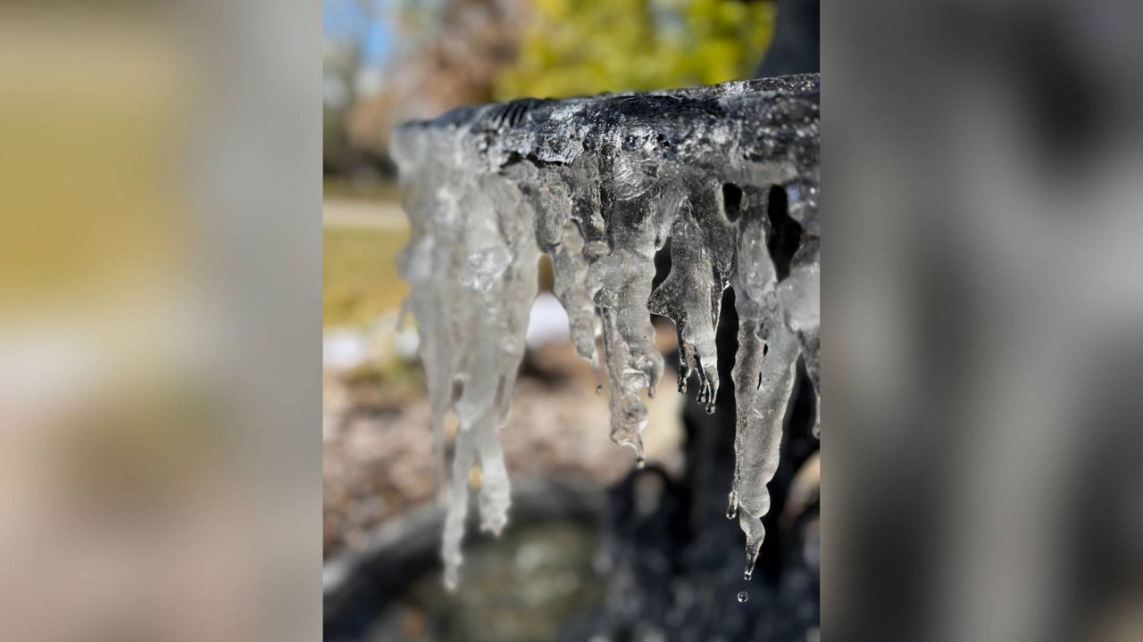 A blast of Arctic temperatures is leaving its impact on Tampa Bay. (Photo Courtesy: Michelle Montella)