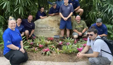 Discovery Cove accused of refusing to recognize divers’ union, violating federal labor law