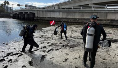 Cold weather doesn't stop divers from Gasparilla bead clean-up