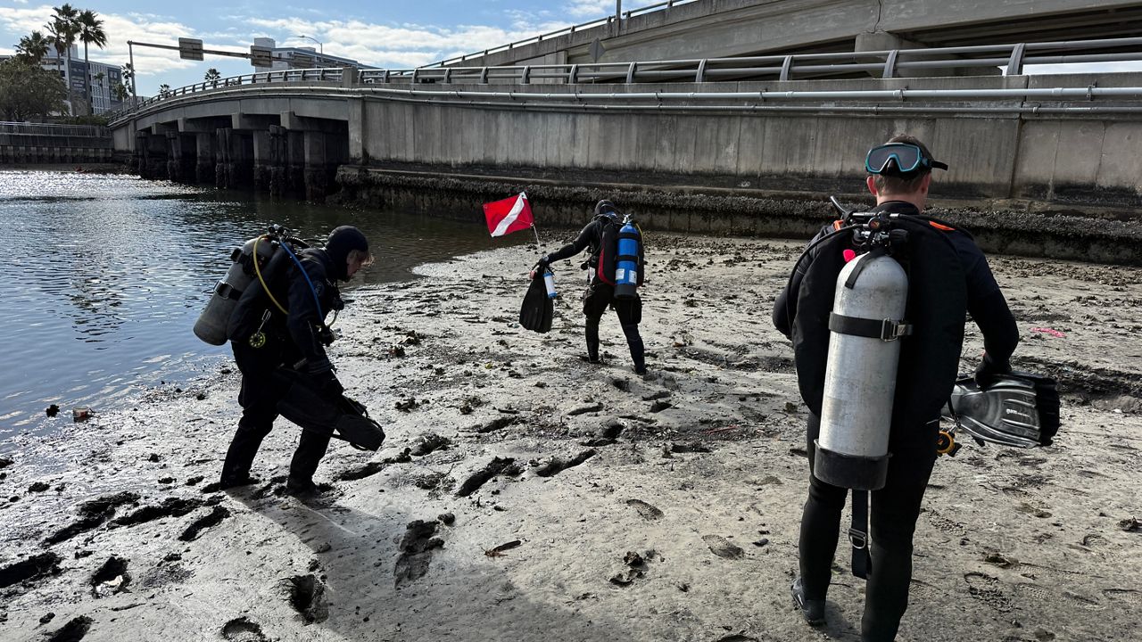 Cold weather doesn't stop divers from Gasparilla bead clean-up
