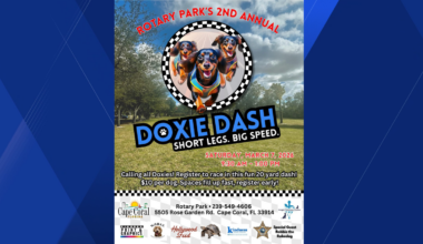 Dachshund race set for March 7 at Rotary Park
