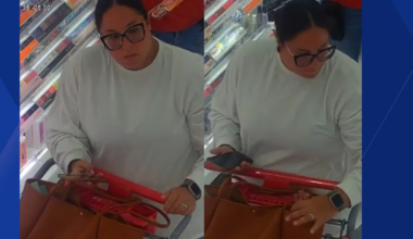 Cape Coral police seek assistance in locating woman in connection with retail theft investigation