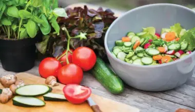 Second Harvest and the Florida Blue Foundation unite to end food insecurity