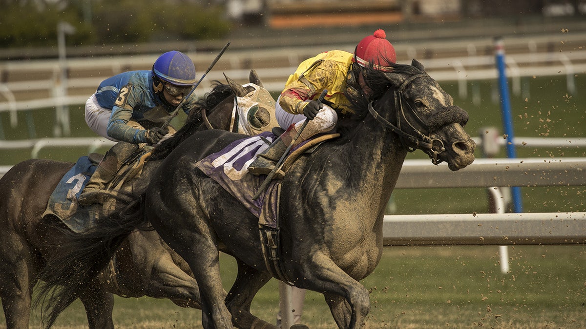 Horse racing at Aqueduct