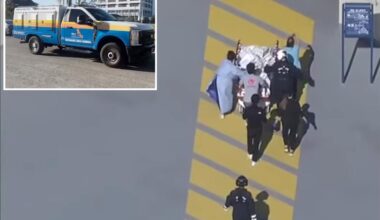 Infant viciously mauled by family bulldog during diaper change in Florida home