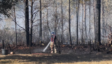 Brush fire contained on Jacksonville’s Westside, Florida Forest Service says – Action News Jax