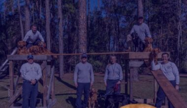 JFRD Urban Search and Rescue team mourns retired K-9, honors service – Action News Jax