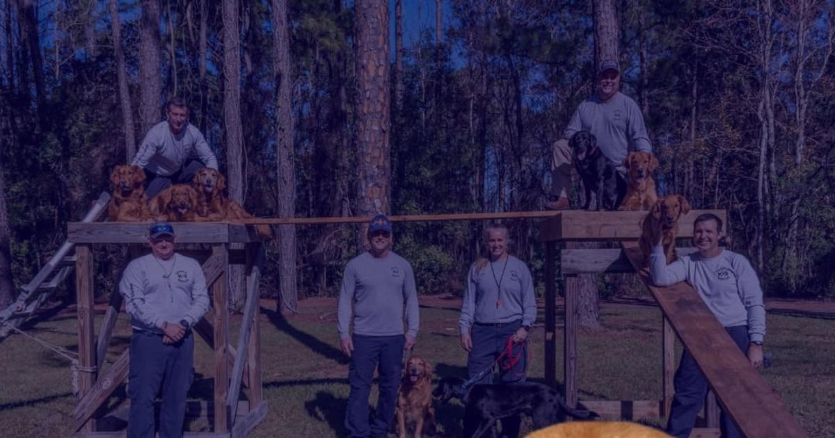 JFRD Urban Search and Rescue team mourns retired K-9, honors service – Action News Jax