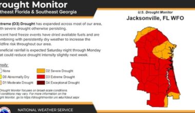 Jacksonville officials warn extreme drought is fueling rising wildfire threat – Action News Jax