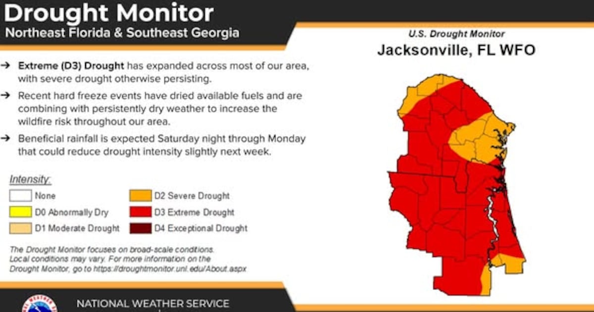 Jacksonville officials warn extreme drought is fueling rising wildfire threat – Action News Jax