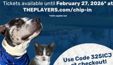 The Players Championship launches Chip in for Charity program to support homeless pets – Action News Jax