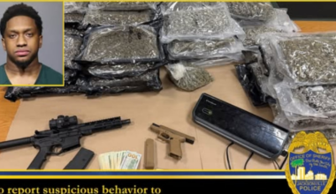 JSO – Action News Jax