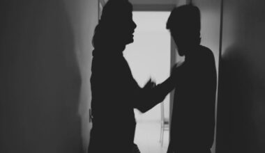 HAVEN Act: Florida's Innovative Domestic Violence Bill