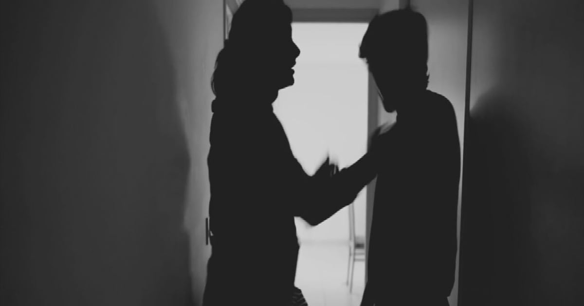 HAVEN Act: Florida's Innovative Domestic Violence Bill