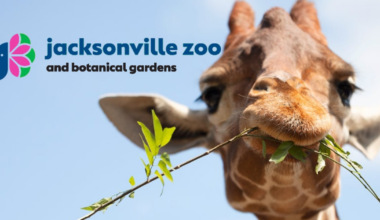 Jacksonville Zoo and Botanical Gardens up for Best Zoo in USA TODAY’s 10Best readers’ poll – 104.5 WOKV