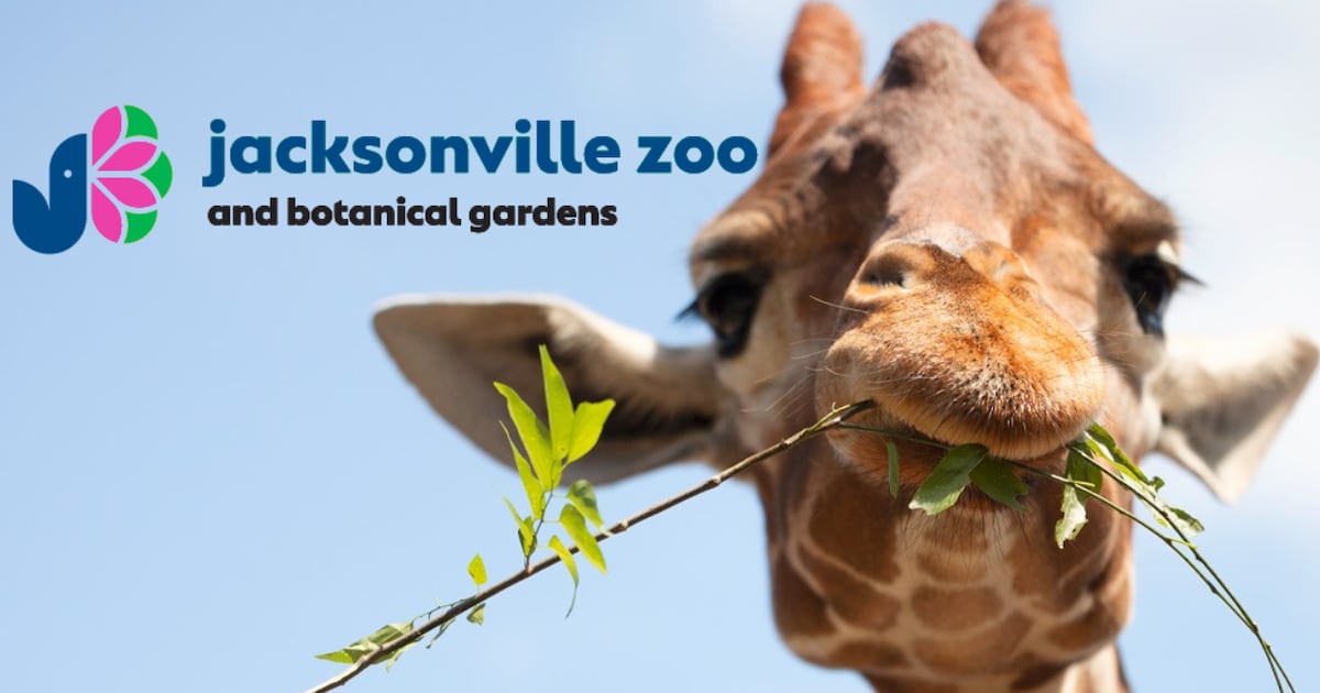 Jacksonville Zoo and Botanical Gardens up for Best Zoo in USA TODAY’s 10Best readers’ poll – 104.5 WOKV