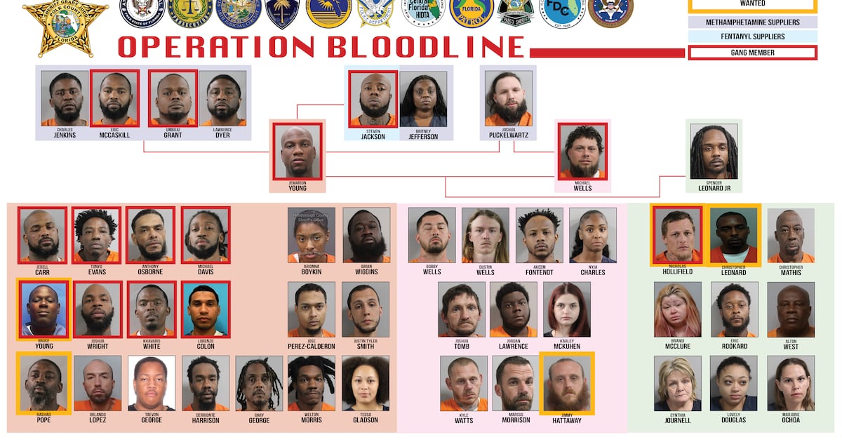 51 Suspects Arrested In Major Florida Drug Trafficking Busts