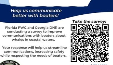 Florida, Georgia wildlife agencies seek boater input to protect North Atlantic right whales – Action News Jax