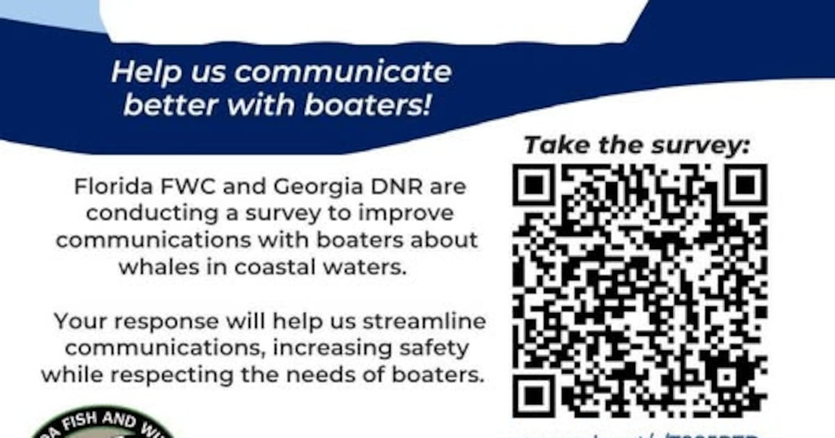Florida, Georgia wildlife agencies seek boater input to protect North Atlantic right whales – Action News Jax