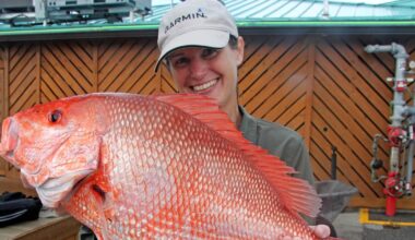 Florida’s East Coast could see longest Red Snapper season since 2009 in 2026 – Action News Jax
