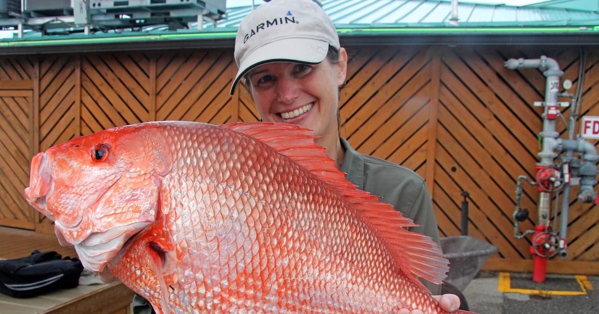 Florida’s East Coast could see longest Red Snapper season since 2009 in 2026 – Action News Jax