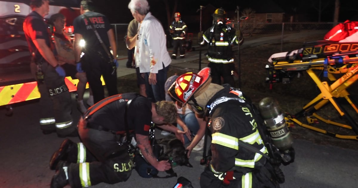 Firefighter, resident injured in Fruit Cove house fire, dog rescued – Action News Jax