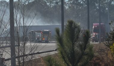 Fire crews respond to brush fire near Publix on Jacksonville’s Westside – Action News Jax