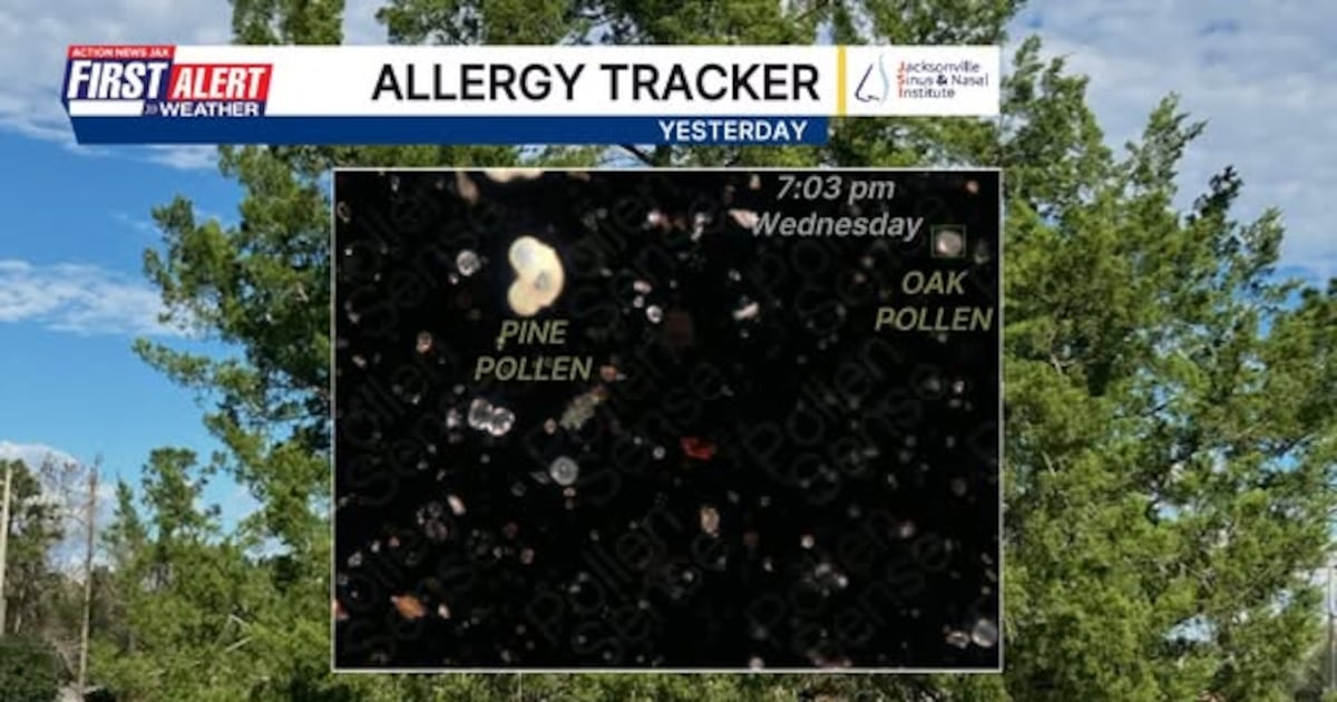 Oak pollen has arrived in the area, First Alert Allergy Tracker shows – Action News Jax