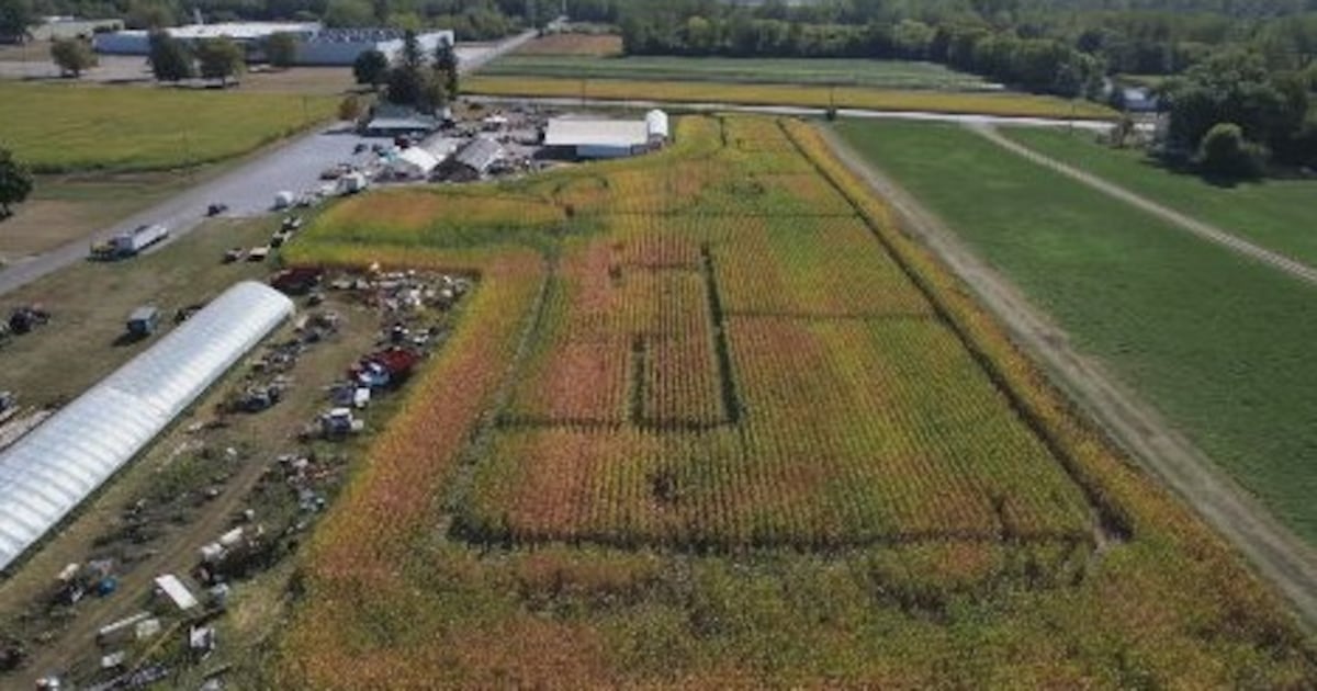 Drought conditions persist in the Miami Valley – WHIO TV 7 and WHIO Radio