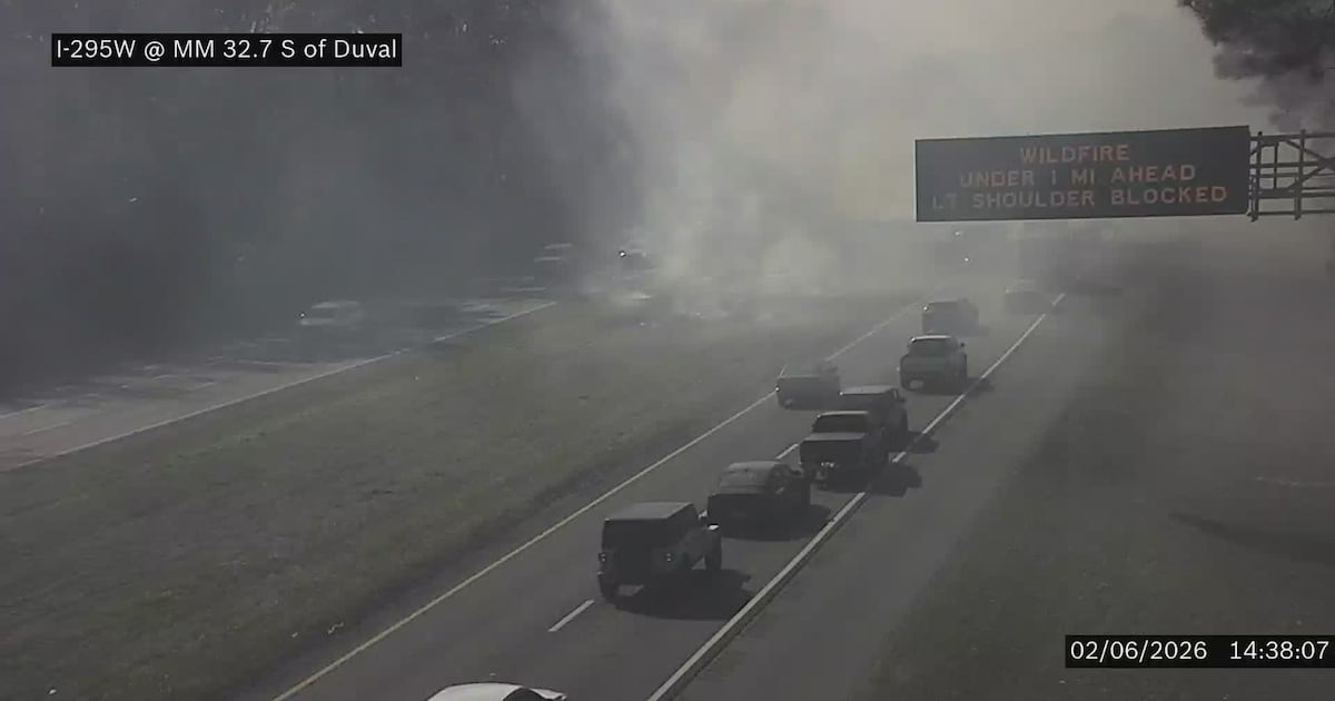Wildfire breaks out on I-295 median near Lem Turner Road in Jacksonville – Action News Jax