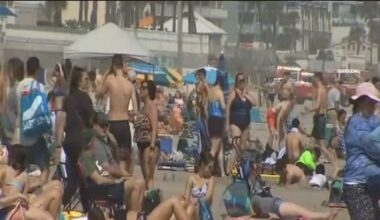 Canadian tourism to Florida falls sharply