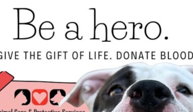 Animal Care and Protective Services to host blood drive fundraiser with LifeSouth on Feb. 19 – Action News Jax