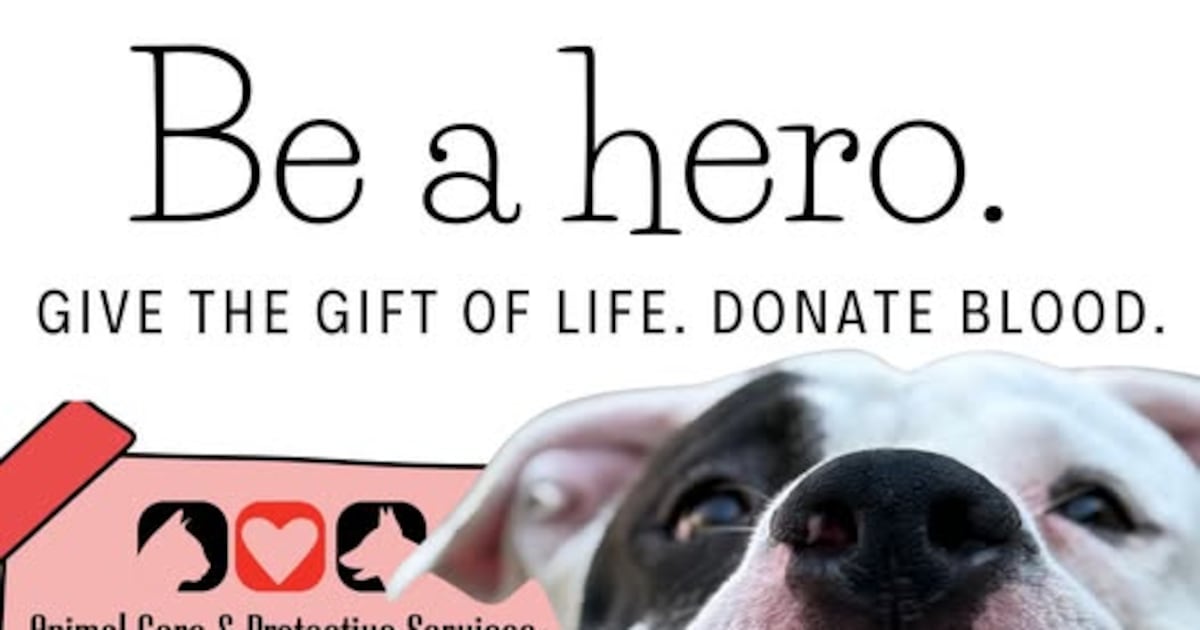 Animal Care and Protective Services to host blood drive fundraiser with LifeSouth on Feb. 19 – Action News Jax