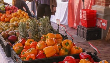 Jacksonville Beach to launch weekly farmers market – Action News Jax