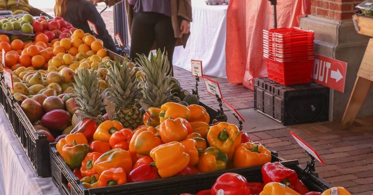 Jacksonville Beach to launch weekly farmers market – Action News Jax