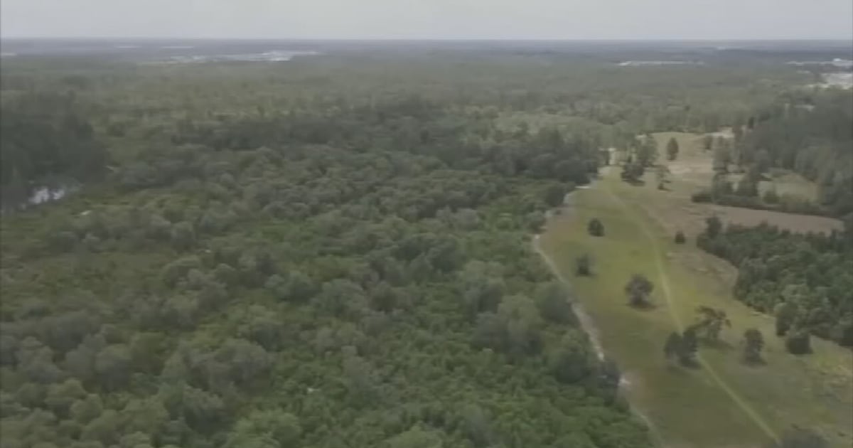 Orange County to hire outside counsel to fight proposed toll road through county land – WFTV