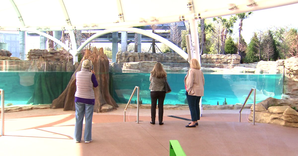 New manatee habitat at the Jacksonville Zoo and Botanical Gardens to aid in conservation efforts – Action News Jax