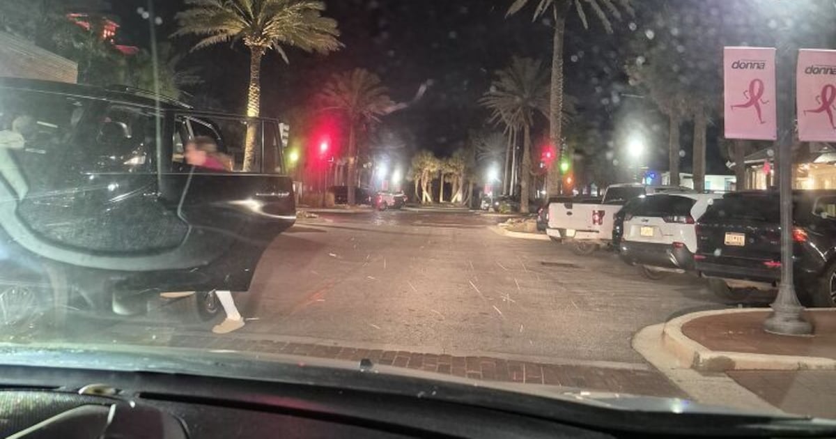 Arctic Freeze brings snow to Northeast Florida and Southeast Georgia – Action News Jax