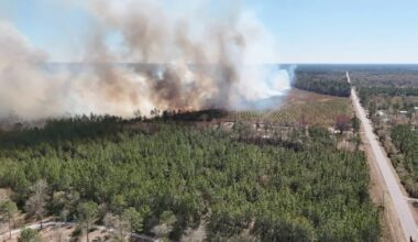 Wildfire smoke raises air quality and health concerns across Northeast Florida – Action News Jax