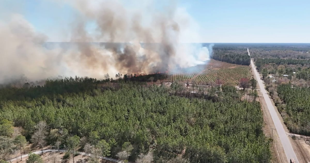 Wildfire smoke raises air quality and health concerns across Northeast Florida – Action News Jax