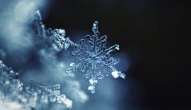 Local church, business announce closures after snow moves through Miami Valley – WHIO TV 7 and WHIO Radio