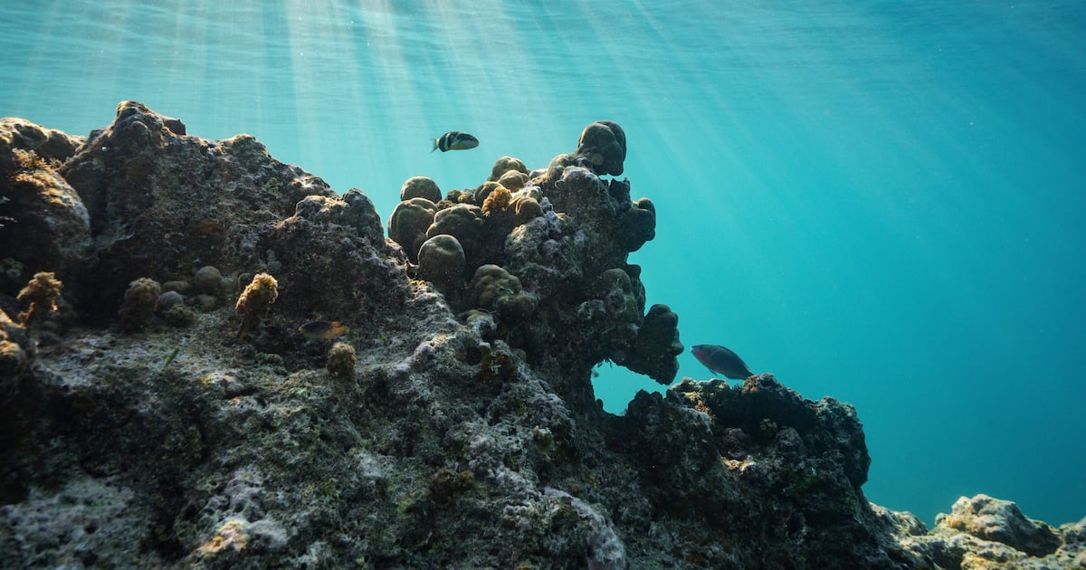 US takes aim at UN climate proposal