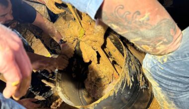 Deputy’s recognition of vehicle leads to dramatic rescue of Jacksonville man trapped in mud pit – Action News Jax