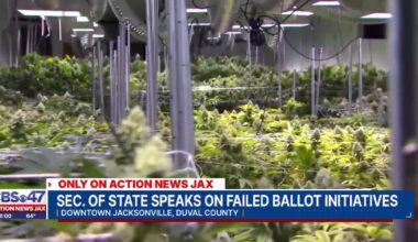Florida Secretary of State defends petition handling, marijuana campaign cites uncounted signatures – Action News Jax